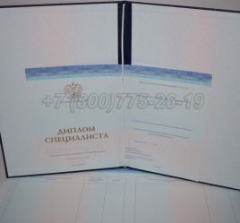 Диплом о Высшем Образовании 2024г СпецБланк в Тюмени
