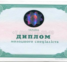 Диплом Техникума Украины 2013г в Тюмени