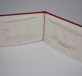 Диплом Кандидата Наук 2019г в Тюмени