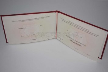 Диплом Кандидата Наук 2019г в Тюмени
