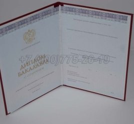 Красный Диплом Бакалавра 2023г Киржач в Тюмени