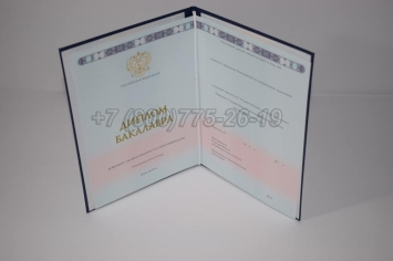 Диплом Бакалавра 2024г ГОЗНАК в Тюмени