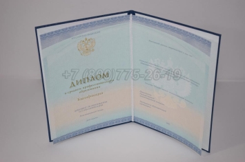 Диплом Колледжа 2025г СпецБланк в Тюмени