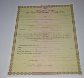Свидетельство об Установлении Отцовства 2021г в Тюмени