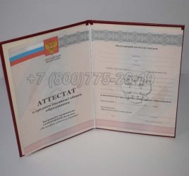 Аттестат За 11 Класс 2011г Серебро в Тюмени
