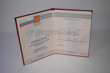 Аттестат За 11 Класс 2011г Серебро в Тюмени