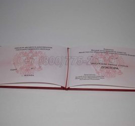 Диплом Доктора Наук 2020г в Тюмени