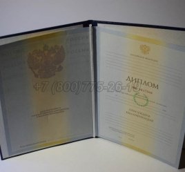 Диплом Института 2010г в Тюмени