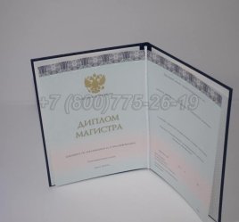 Диплом Магистра 2023г ООО "Знак" в Тюмени