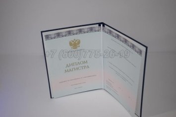 Диплом Магистра 2023г ООО "Знак" в Тюмени