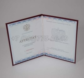 Аттестат За 11 Класс 2021г Золото ГОЗНАК в Тюмени