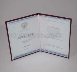 Аттестат За 11 Класс 2024г Золото ГОЗНАК в Тюмени
