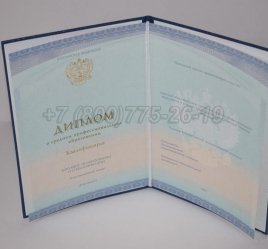 Диплом Техникума 2022г СпецБланк в Тюмени