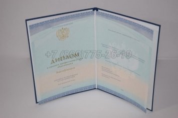 Диплом Техникума 2018г СпецБланк в Тюмени