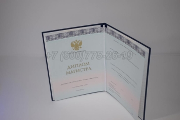 Диплом Магистра 2024г ООО "Знак" в Тюмени