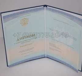 Диплом Техникума 2023г СпецБланк в Тюмени