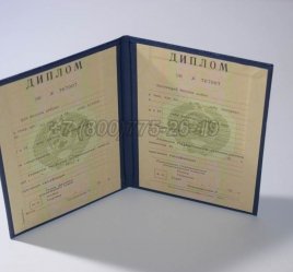 Диплом о Высшем Образовании Украинской ССР в Тюмени